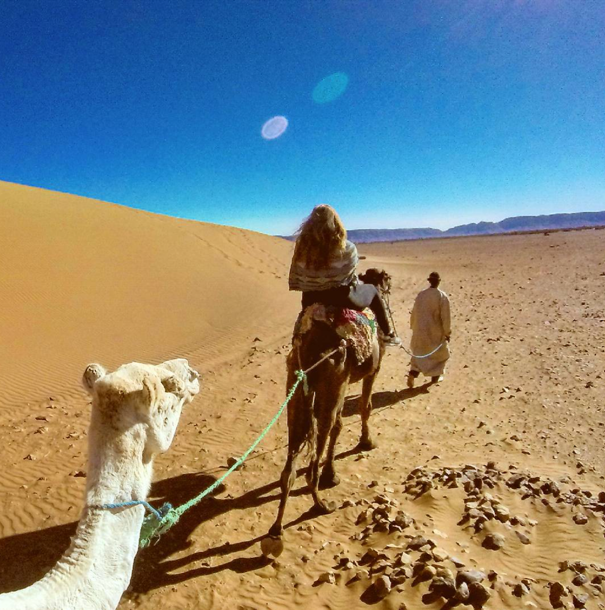 Atlas Camel Trek